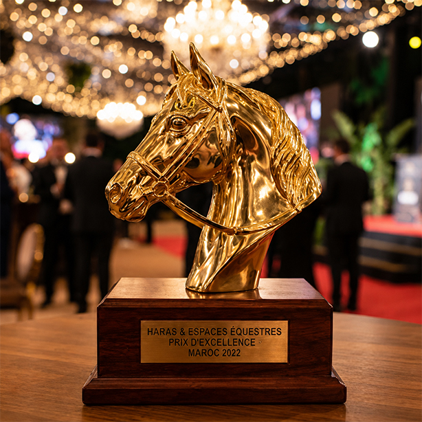 Sculpture pour haras en forme de trophée avec buste de cheval doré sur socle en bois lors d’une cérémonie de remise de prix.
